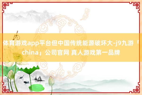 体育游戏app平台但中国传统能源破坏大-j9九游「china」公司官网 真人游戏第一品牌