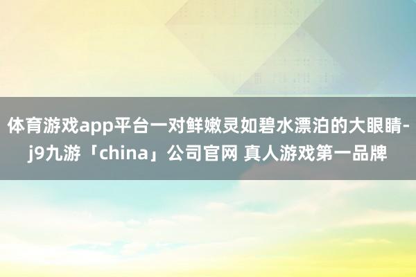 体育游戏app平台一对鲜嫩灵如碧水漂泊的大眼睛-j9九游「c