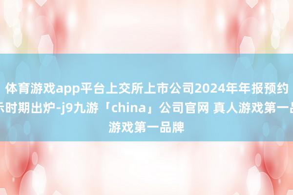 体育游戏app平台上交所上市公司2024年年报预约表示时期出