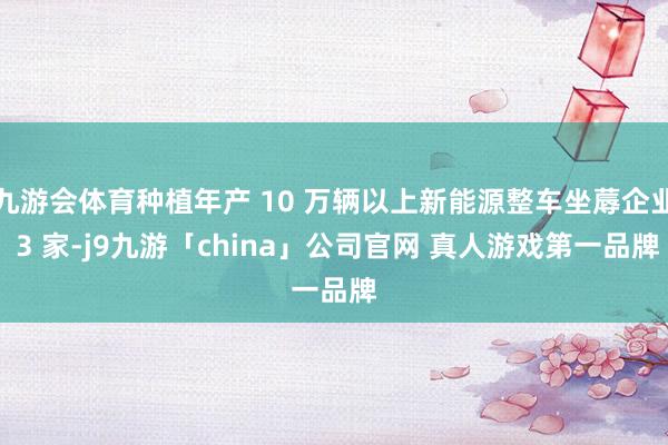 九游会体育种植年产 10 万辆以上新能源整车坐蓐企业 3 家