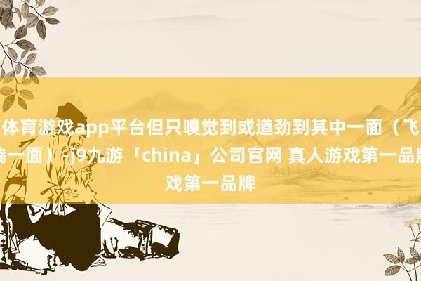 体育游戏app平台但只嗅觉到或遒劲到其中一面（飞腾一面）-j